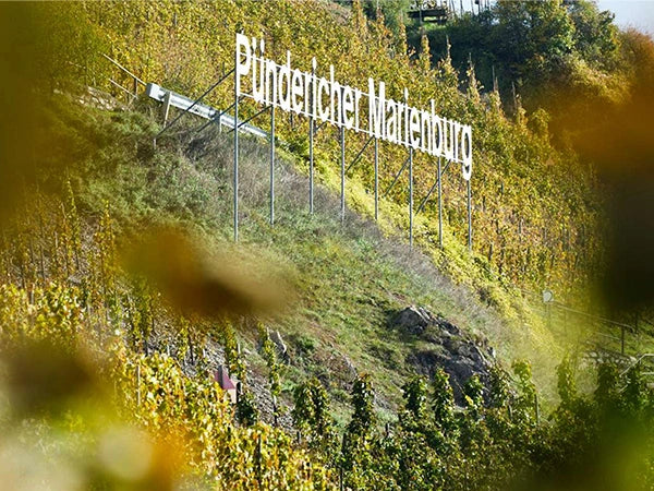 Die Mosel-Riesling Grand Cru Lage Marienburg.