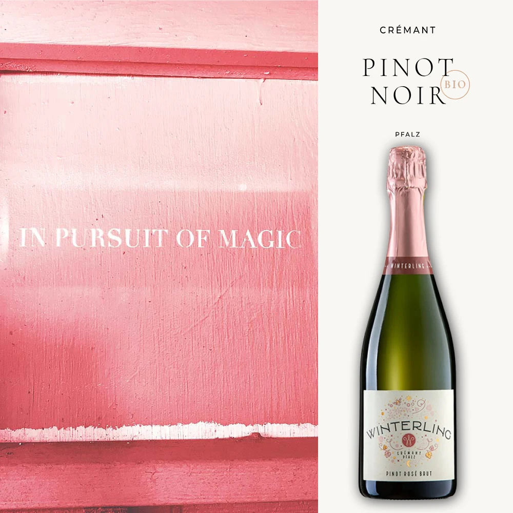 Cremant brut rosé Flasche neben einer rosa Wand mit dem inspirierenden Text "In Pursuit of Magic", symbolisiert den zauberhaften Geschmack des Weins.