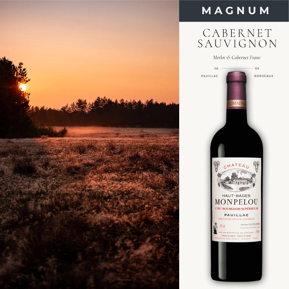 französischer trockener rotwein aus pauillac bordeaux in magnum flasche.