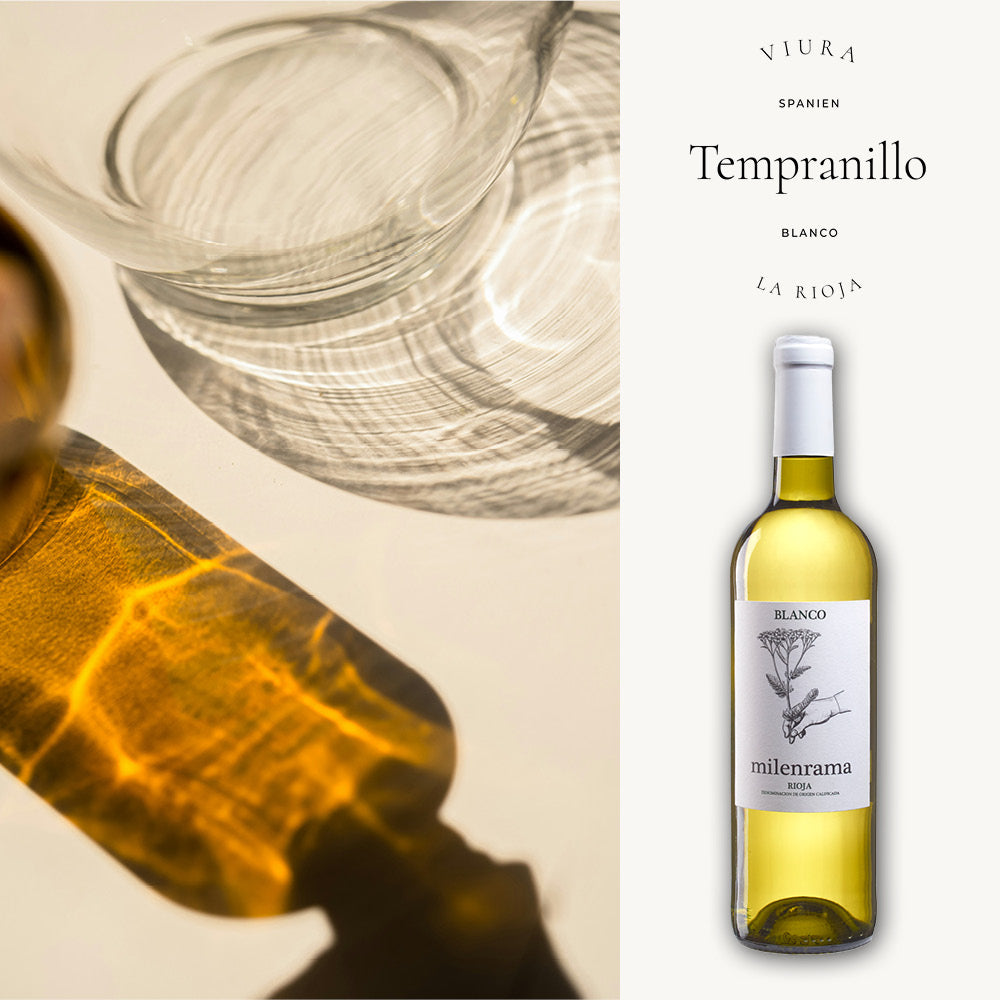 Eine Flasche Weißwein Viura Tempranillo Blanco aus dem Rioja, Spanien, mit dem Namen Milenrama auf dem Etikett. Die Komposition enthält auch eine abstrakte Darstellung von Lichtreflexionen und Schatten, die durch das Glas auf eine helle Oberfläche geworfen werden.