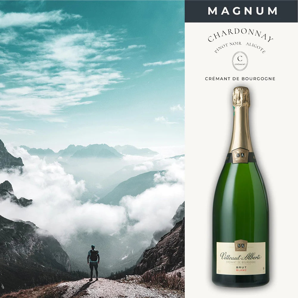 Magnum Flasche Wein kaufen