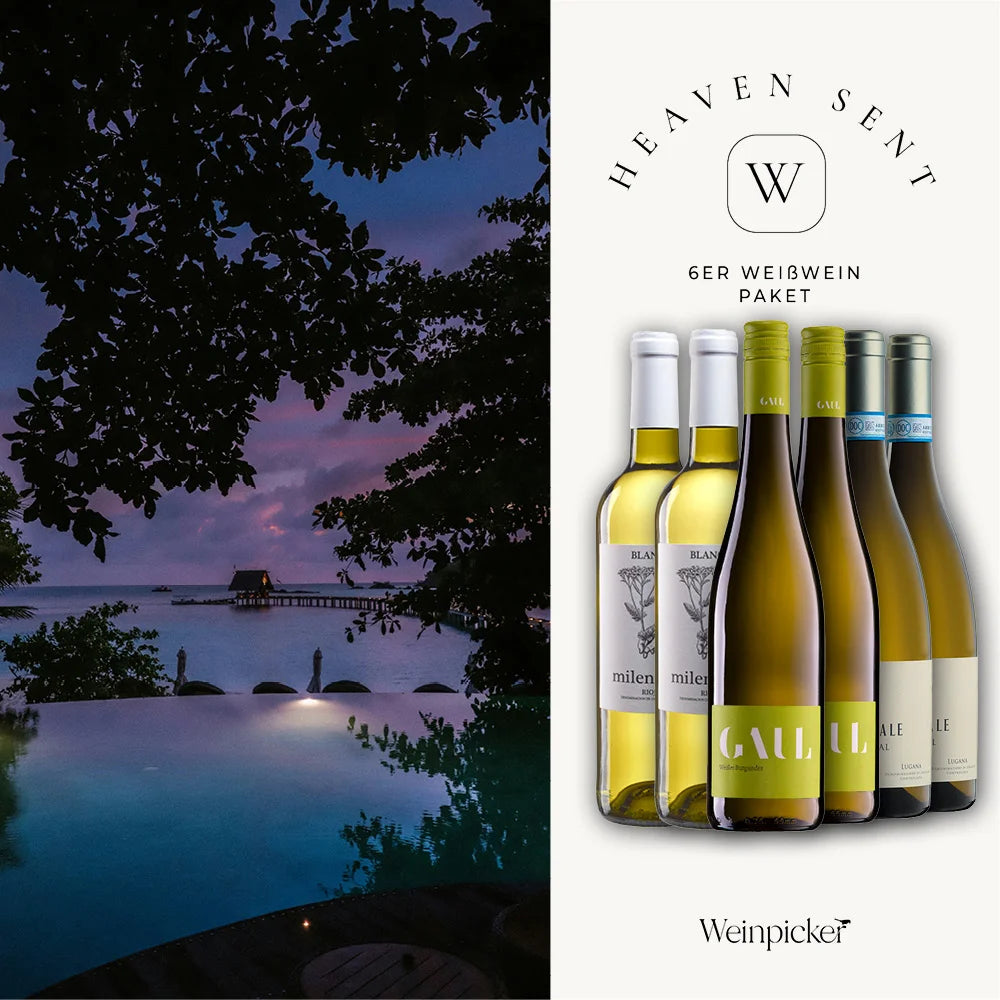 Drei hochwertige Weißweine aus der Pfalz, der Rioja und vom Gardasee – ein kuratiertes Weinpaket mit Premium-Lugana, Weißburgunder und spanischem Blanco.