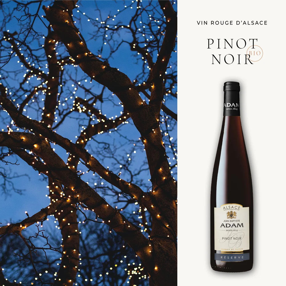 Trockener Pinot Noir Reserve aus dem Elsass von Jean-Baptiste Adam.