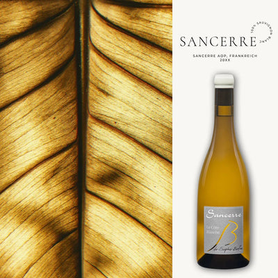 Sancerre Blanc AOP von Sophie Blanc